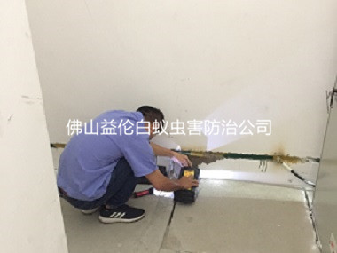 三水房屋勘查防治白蚁工程