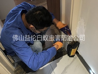 里水住宅白蚁防治工程