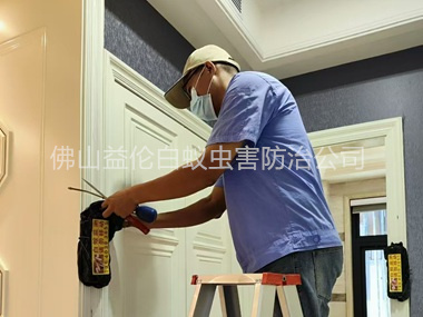 黄岐住宅白蚁防治工程