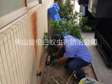 黄岐投放灭鼠装置工程