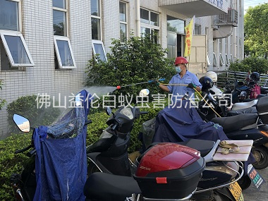 大沥厂区杀虫灭蚊工程